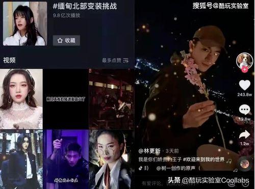 缅甸网红吃瓜视频在线观看,揭秘网络红人的日常生活