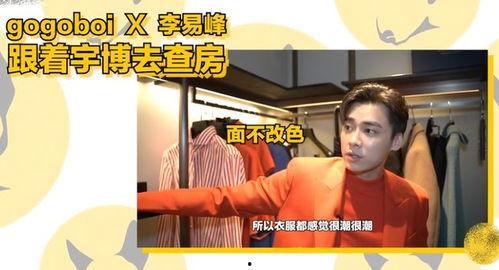 峰哥爆料完整视频大全,完整视频大全深度解析